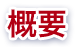 概要