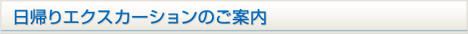 日帰りエクスカーションのご案内