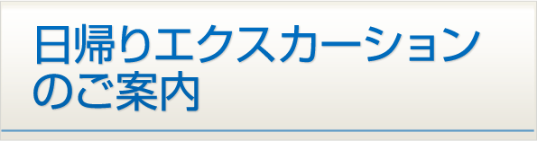 日帰りエクスカーションのご案内