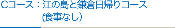 Cコース：江の島と鎌倉日帰りコース（食事なし）