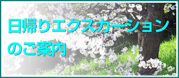 AGNXJ[V̂ē